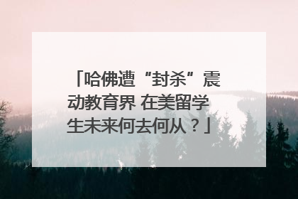 哈佛遭“封杀”震动教育界 在美留学生未来何去何从？