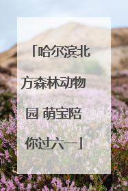 哈尔滨北方森林动物园 萌宝陪你过六一