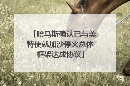 哈马斯确认已与美特使就加沙停火总体框架达成协议