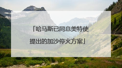 哈马斯已同意美特使提出的加沙停火方案