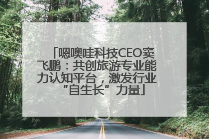 嗯噢哇科技CEO窦飞鹏：共创旅游专业能力认知平台，激发行业“自生长”力量