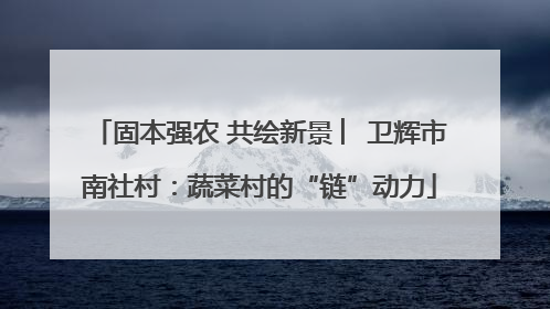 固本强农 共绘新景 ︳卫辉市南社村：蔬菜村的“链”动力