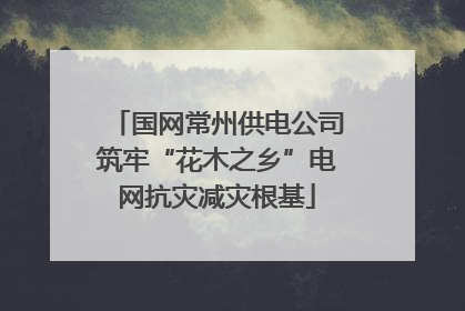 国网常州供电公司筑牢“花木之乡”电网抗灾减灾根基