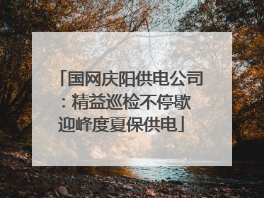 国网庆阳供电公司：精益巡检不停歇 迎峰度夏保供电