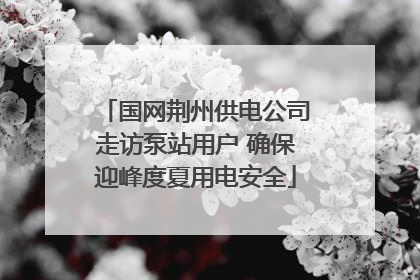 国网荆州供电公司走访泵站用户 确保迎峰度夏用电安全