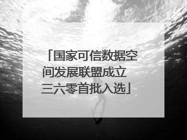 国家可信数据空间发展联盟成立 三六零首批入选