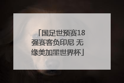 国足世预赛18强赛客负印尼 无缘美加墨世界杯