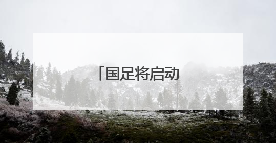 国足将启动新一轮换帅