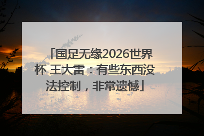 国足无缘2026世界杯 王大雷：有些东西没法控制，非常遗憾