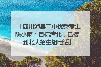 四川泸县二中优秀考生陈小雨：目标清北，已接到北大招生组电话