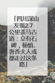 四川深山发现2.7公里茶马古道：立有石碑，杨慎、奢香夫人或都走过这条路