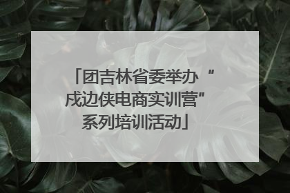 团吉林省委举办“戍边侠电商实训营”系列培训活动