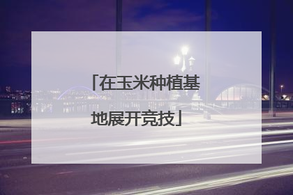 在玉米种植基地展开竞技