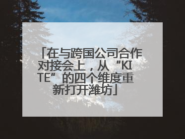 在与跨国公司合作对接会上，从“KITE”的四个维度重新打开潍坊