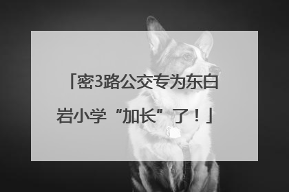 密3路公交专为东白岩小学“加长”了！