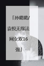 孙璐璐/袁悦无缘法网女双16强