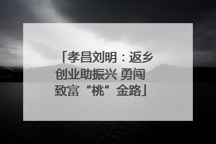 孝昌刘明：返乡创业助振兴 勇闯致富“桃”金路