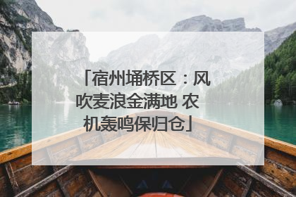 宿州埇桥区：风吹麦浪金满地 农机轰鸣保归仓