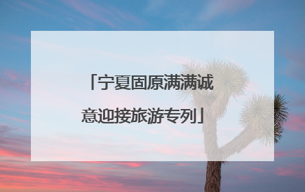 宁夏固原满满诚意迎接旅游专列