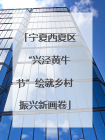 宁夏西夏区 “兴泾黄牛节”绘就乡村振兴新画卷