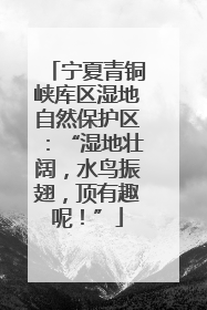 宁夏青铜峡库区湿地自然保护区：“湿地壮阔，水鸟振翅，顶有趣呢！”