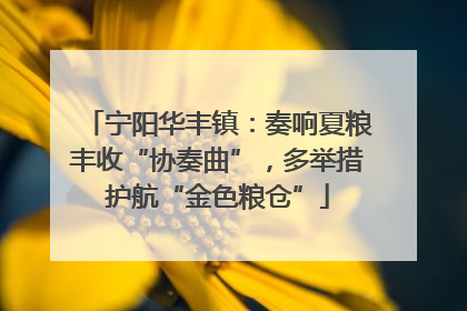 宁阳华丰镇：奏响夏粮丰收“协奏曲”，多举措护航“金色粮仓”