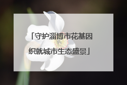 守护淄博市花基因 织就城市生态盛景