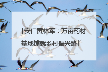 安仁黄林军：万亩药材基地铺就乡村振兴路