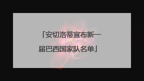 安切洛蒂宣布新一届巴西国家队名单