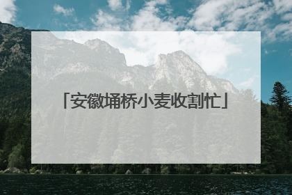 安徽埇桥小麦收割忙