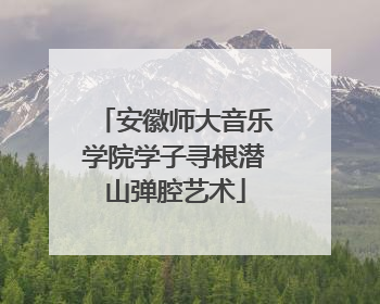 安徽师大音乐学院学子寻根潜山弹腔艺术