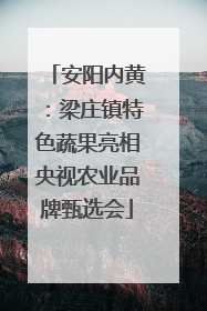 安阳内黄：梁庄镇特色蔬果亮相央视农业品牌甄选会