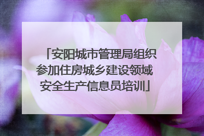 安阳城市管理局组织参加住房城乡建设领域安全生产信息员培训