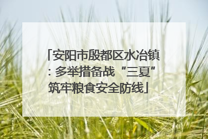 安阳市殷都区水冶镇：多举措备战“三夏” 筑牢粮食安全防线