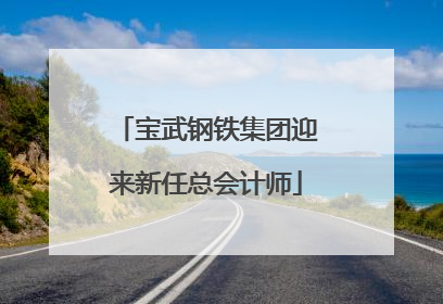 宝武钢铁集团迎来新任总会计师