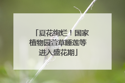 夏花绚烂！国家植物园萱草睡莲等进入盛花期