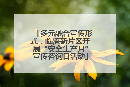 多元融合宣传形式，临港新片区开展“安全生产月”宣传咨询日活动