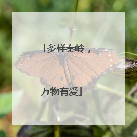 多样秦岭，万物有爱