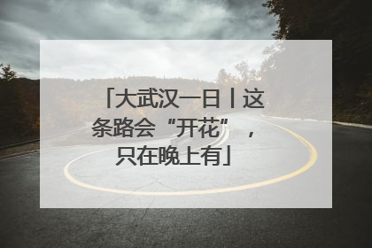 大武汉一日丨这条路会“开花”，只在晚上有