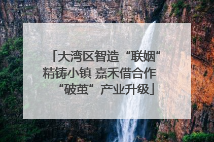 大湾区智造“联姻”精铸小镇 嘉禾借合作“破茧”产业升级