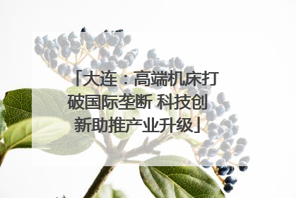 大连：高端机床打破国际垄断 科技创新助推产业升级