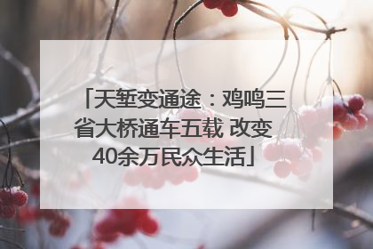 天堑变通途：鸡鸣三省大桥通车五载 改变40余万民众生活