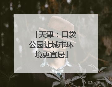 天津：口袋公园让城市环境更宜居