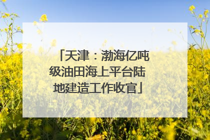 天津：渤海亿吨级油田海上平台陆地建造工作收官