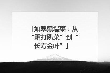 如皋黑塌菜：从“霜打趴菜”到“长寿金叶”