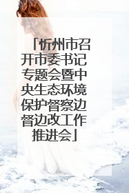 忻州市召开市委书记专题会暨中央生态环境保护督察边督边改工作推进会