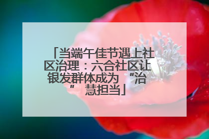 当端午佳节遇上社区治理：六合社区让银发群体成为 “治” 慧担当