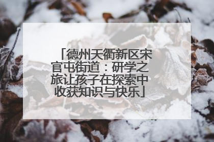 德州天衢新区宋官屯街道：研学之旅让孩子在探索中收获知识与快乐