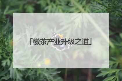徽茶产业升级之道