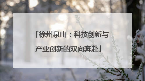徐州泉山：科技创新与产业创新的双向奔赴
